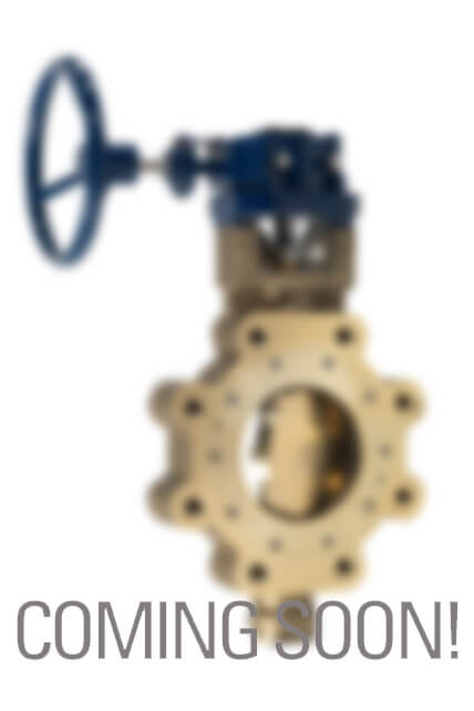 Double-Offset Butterfly Valve BU03 with double-flanged body style