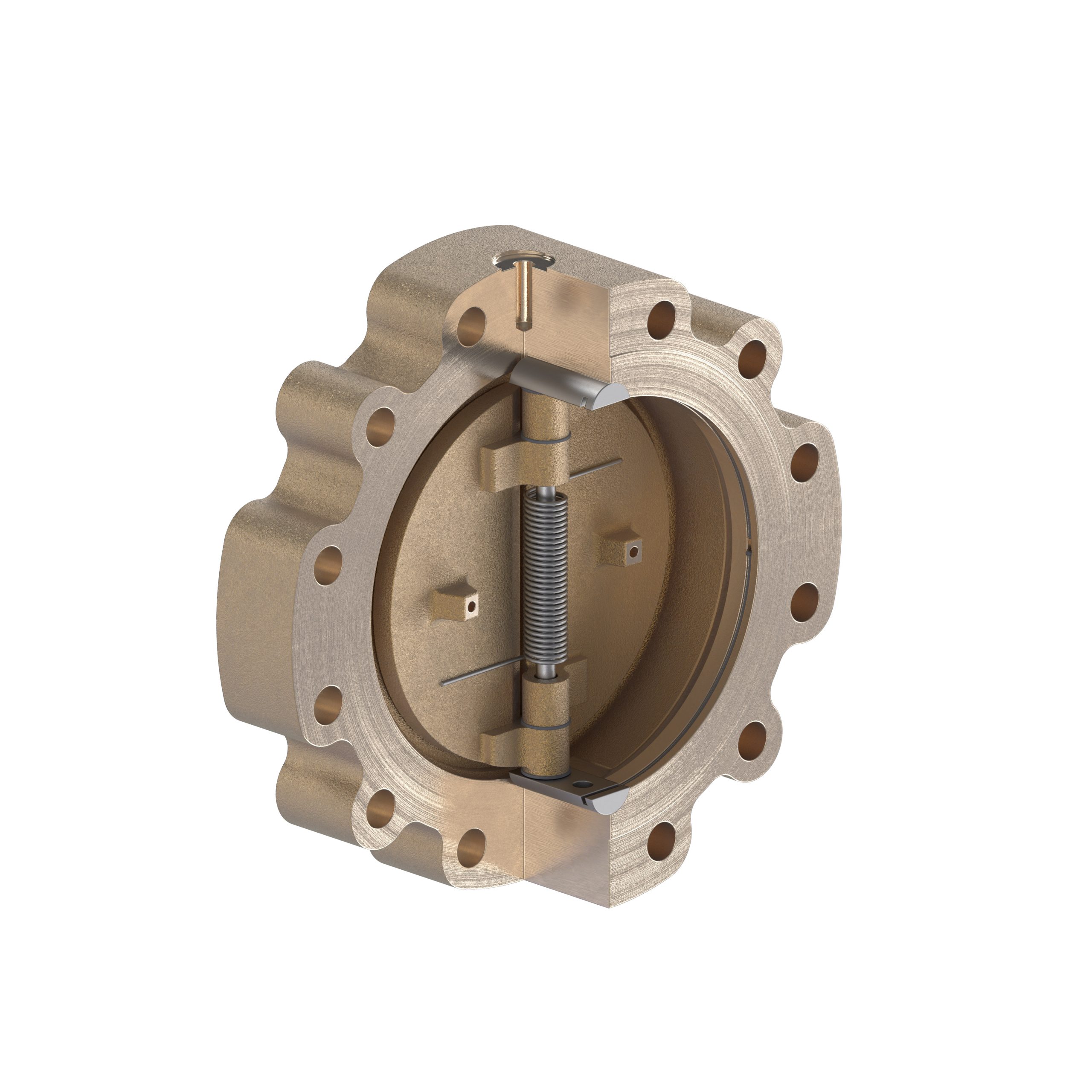 Shipham Valves WC02 Dual Check Plate Valve with lugged body style